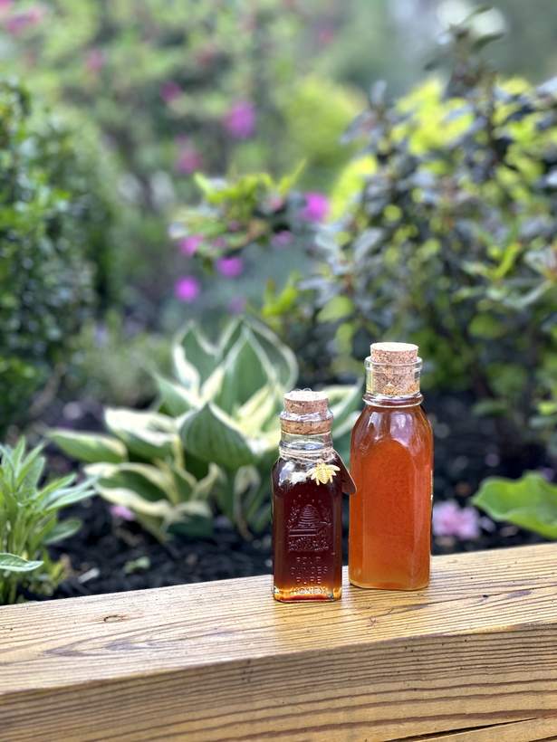 Light and dark raw honey side by side in the garden