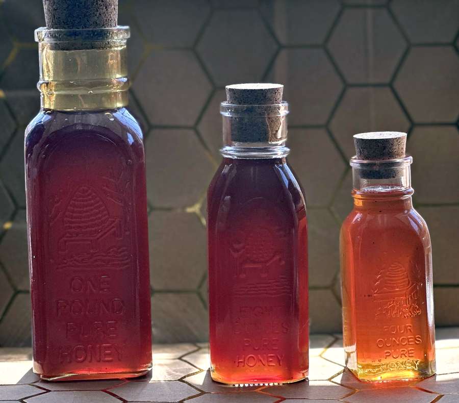Muth bottles in three sizes, backlit